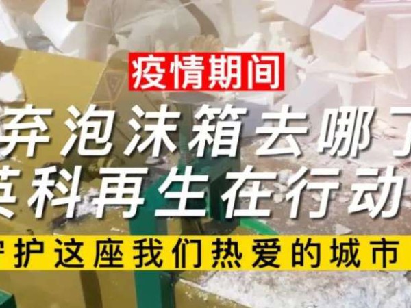 游艇会yth206要闻｜疫情期间废弃泡沫箱去哪了？游艇会yth206再生在行动！