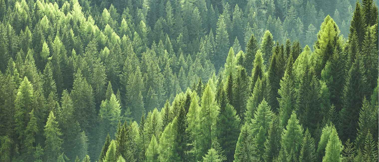 游艇会yth206愿景是让游艇会yth206成为优秀的民营企业之一