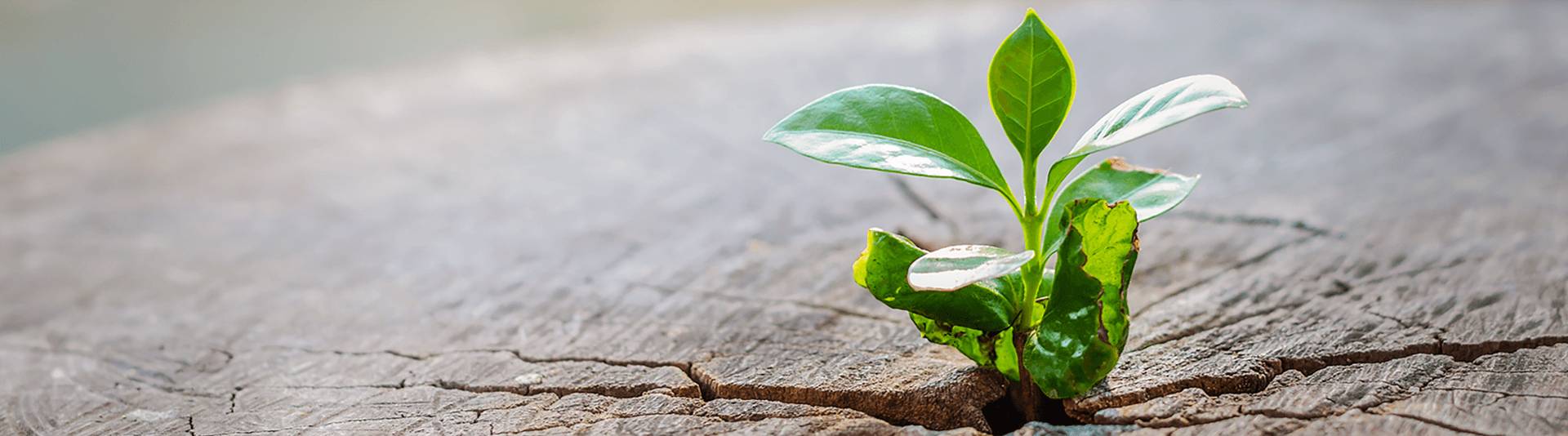 游艇会yth206环保塑料再生事业